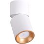 Polux NIXA 314260 Natáčané downlight svetlo 1x10W/GU10 IP20