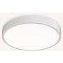 Ideal Lux RAY 327693 Stropné svietidlo 1x44W/LED ip44