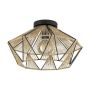 Eglo ADWICKLE 43775 Stropné svietidlo 1x40W/E27 IP20