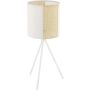 Eglo ARNHEM 43555 Stolná lampa 1X40W/E27 IP20