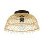 Eglo AUSNBY 43831 Stropné svietidlo 1x40W/E27 IP20