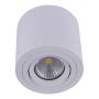 Prezent ALMAN I. 48606 Natáčané downlight svetlo 1x50W/GU10 IP20