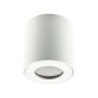 Prezent ALMAN IP I. 48620 Natáčané downlight svetlo 1x35W/GU10 IP20