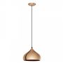 Eglo HAPTON 49449 Závesná lampa 1x60W/E27