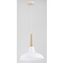 Alfa DORO 60005 Závesná lampa 1x60W/E27 IP20
