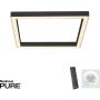 Paul Neuhaus PURE-LINES 6022-13 Stropná lampa 1x29W/LED 2700-5000k 2500lm ip20
