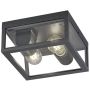 Trio GARONNE 601860242 Stropná lampa 2x10w/e27 ip44