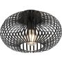 Trio JOHANN 606903032 Stropná lampa 1x60w/e27 ip20