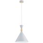 Alfa FERYT 61597 Závesná lampa 1x15W/E27