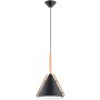 Alfa FORTEL 61494 Závesná lampa 1xE27