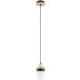 Alfa FRONY 61623 Závesná lampa 1x15W/E27