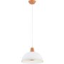 Alfa REY 61385 Závesná lampa 1x15W/E27