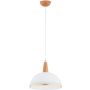 Alfa REYNO 61386 Závesná lampa 1x15W/E27