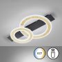 Fischer&Honsel Circle 21433 Stropné svietidlo 1x20W/LED 2700K 3100 lm IP20