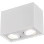 Trio BISCUIT 613000231 Natáčané downlight svetlo 2x35w/gu10 ip20