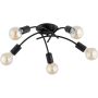 Alfa TORIZO 63426 Stropná lampa 5x15W/E27