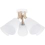 TK Lighting VAIO 666 Stropná lampa 5x60W/E27
