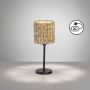 Fischer&Honsel Hyazinthe 50678 Stolná lampa 1x25W/E14 IP20
