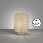 Fischer&Honsel Nature 50738 Stolná lampa 1x25W/E14 IP20