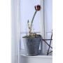Markslojd GARDENER 703775 Stojacia dekorácia 1x0,32W/LED