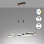 Fischer&Honsel Torcido 61018 Závesná lampa 1x27W/LED 2700K 3200 lm IP20