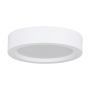 Eglo IDUN-E 74105 Stropné svietidlo 12W/LED 3000K 1325lm ip20
