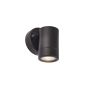 Endon PALIN 75434 Stena svietidlo 7W/GU10 IP44