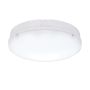 Endon FORCA CCT 77898 Stropné svietidlo 18W/LED 3000K/4200K/6500K 1600LM IP65