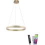 Paul Neuhaus Q-VITO 8411-60 Závesná lampa 1x44W/LED 2700-5000k 4550lm ip20