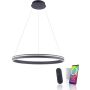 Paul Neuhaus Q-VITO 8412-13 Závesná lampa 1x65W/LED 2700-5000k 7000lm ip20