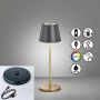 Fischer&Honsel Cosenza 850338 Stolná lampa 2x2W/LED RGBW 180lm IP44