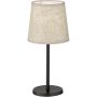 Fischer&Honsel Eve 850224 Stolná lampa 1x25w/e14 ip20
