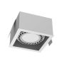 Antigo Cage 3273 Vstavané downlight svetlo 1x15W/Gu10 IP20