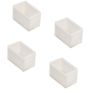 Zambelis NEON ECLS08-09 Krytko