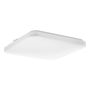 Eglo FRANIA-IP 902076 Stropné svietidlo 18W/LED 3000K, 4000K, 6000K 2100lm ip44