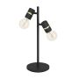 Eglo LURONE 900178 Stolná lampa 2x10W/E27 IP20