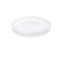 Eglo MONTEMORELOS-Z 900408 Stropné svietidlo 1x17,8W/LED 2700-6500K 2150LM IP20