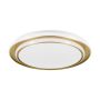 Eglo MOSCHETTA 902045 Stropné svietidlo 36W/LED 2700K, 4000K, 6500K 4800lm ip20