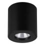 Eglo TORRECOLA 901028 Stropná lampa 1x5W/GU10|LED IP44