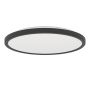 Eglo ROVITO-Z 901463 Stropné svietidlo 13.9W/LED 2700-6500K 1750lm ip44