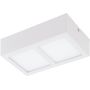 Eglo COLEGIO 95201 Stropné svietidlo 2x4,2W/LED 1100LM