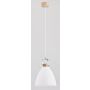 Alfa HERMINA 9642 Závesná lampa 1x60W/E27 IP20