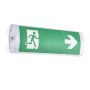 Endon SIGHT PLUS 97817 Núdzová lampa 3W 6500K IP65