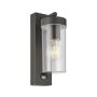 Endon HAYDEN PIR 99756 Stena svietidlo 15W/E27 IP44