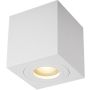 Zuma Line QUARDIP ACGU10-160 Natáčané downlight svetlo 1x50W/GU10 IP44