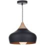 Dar Lighting GAUCHO GAU0122 Závesná lampa 1x60W/E27