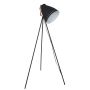 Italux FRANKLIN ML-HN3068-B+RC Stojanová lampa 1x60W/E27
