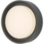 Dar Lighting RALPH RAL5239 Stena svietidlo 1x9W/LED 3000K 626LM IP65