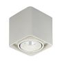 Italux BONNIE SLC78004/10W WH Natáčané downlight svetlo 1x10W/LED 840LM IP20