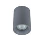 Italux FLYNN TM09080-GR Natáčané downlight svetlo 1x50W/GU10 IP20